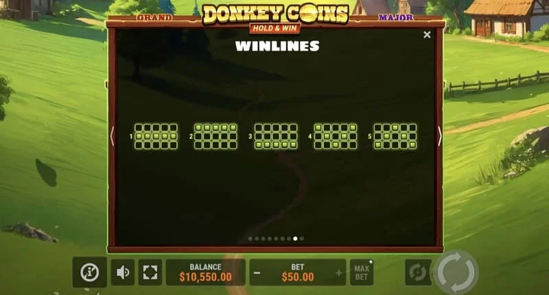 Donkey Coins Hold & Win - malaking panalo sa espesyal na mode